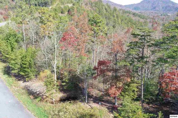 Sevierville, TN 37876,Lot 33 Mountain Ash WAY