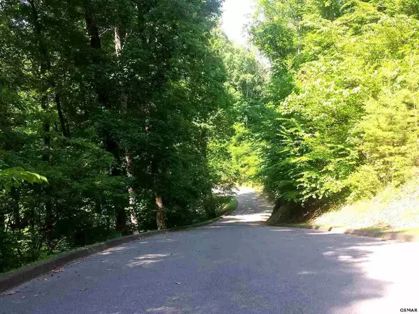 Sevierville, TN 37862,Lot Lot 2 Saddle Creek WAY