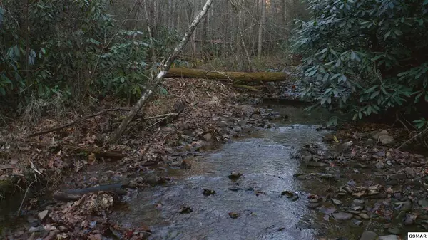 Gatlinburg, TN 37738,314 Acres Hickey RD