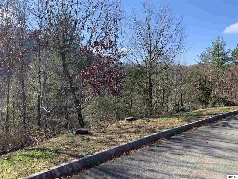 Lot 57 Smoky Ridge WAY, Sevierville, TN 37862