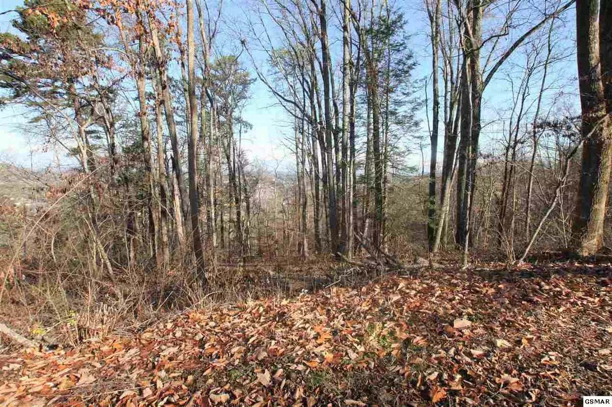 Pigeon Forge, TN 37863,Lot 35 Twin City WAY