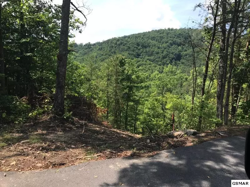 Lot 8 Chamberlain LN, Sevierville, TN 37862