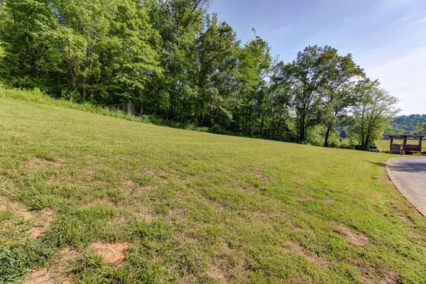 Sevierville, TN 37876,Lot 194R Wilderness Path WAY