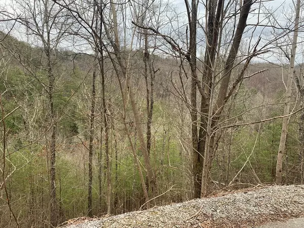 Sevierville, TN 37862,Lot 97E Black Powder LN