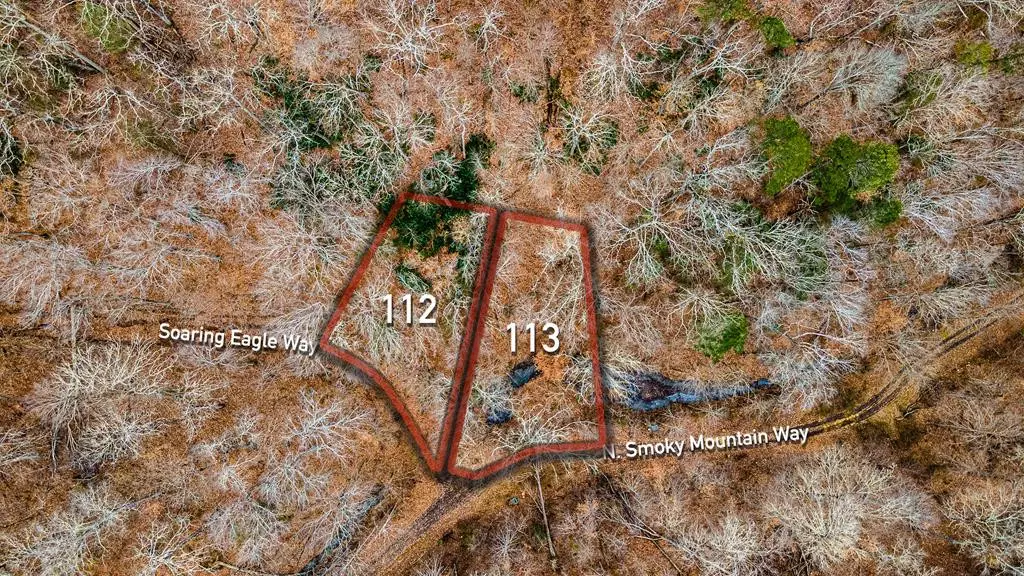 Lot 112&113 Soaring Eagle & N Smoky Mountain WAY, Sevierville, TN 37876