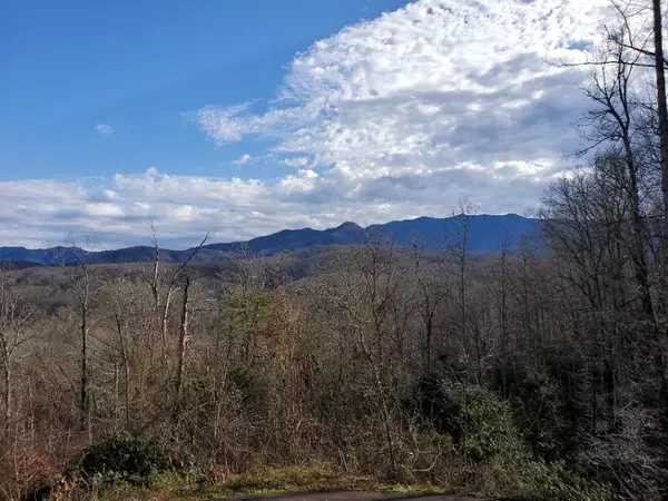 142 & 143 Crest, Gatlinburg, TN 37738