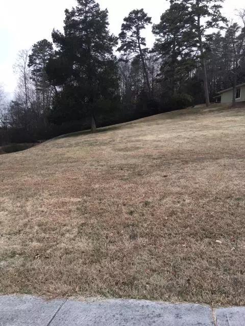 Lot 8 Morningside LN, Dandridge, TN 37725