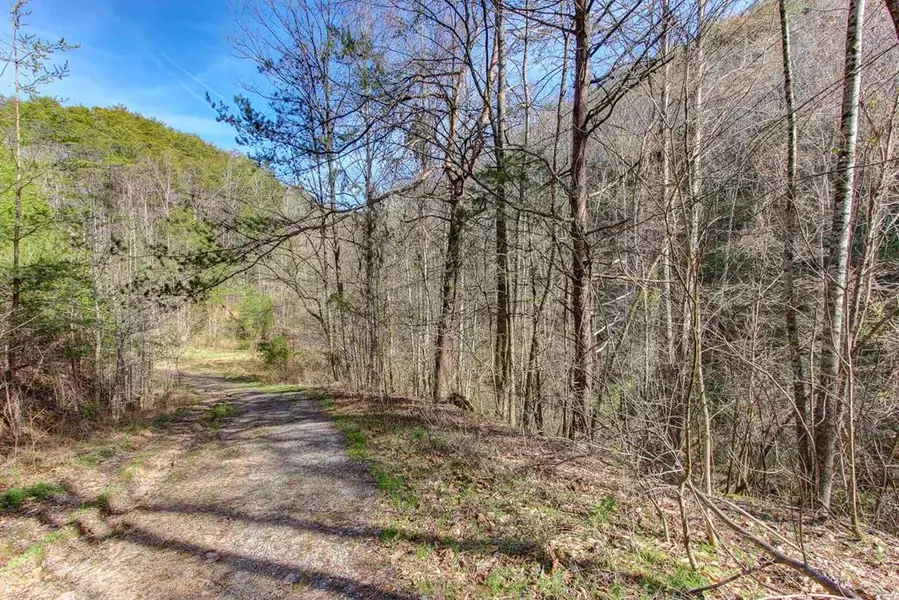 Lot 5 Cowden Spring WAY, Sevierville, TN 37876