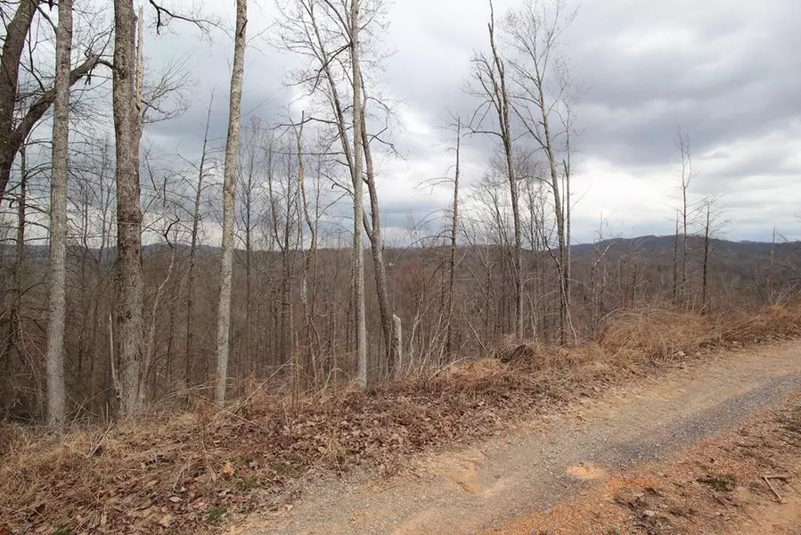 Lot 16-C Laurel WAY, Gatlinburg, TN 37738