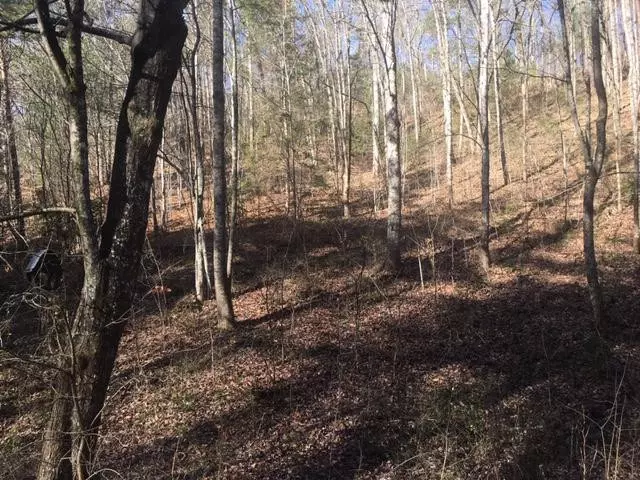 Lot 57 Wintergreen DR, Sevierville, TN 37876