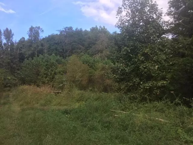 Lot 58 Wintergreen DR, Sevierville, TN 37876