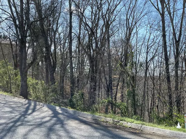 Sevierville, TN 37862,LOT # 12 MAGGIE MACK LN