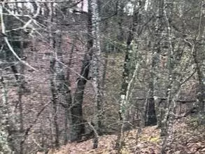 Lot #140 Bent Tree LN, Sevierville, TN 37862