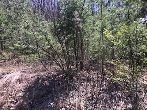 Sevierville, TN 37862,Lot 12 Lexy LN