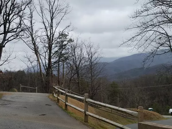 Gatlinburg, TN 37738,759 Vixen RUN