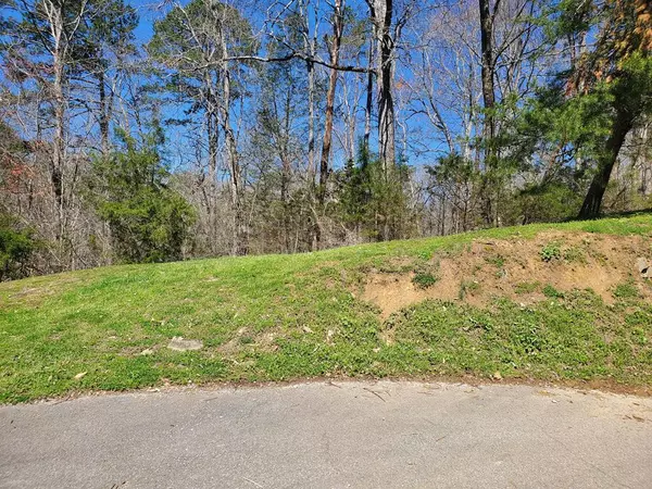 Sevierville, TN 37876,LOT 66 Walini WAY