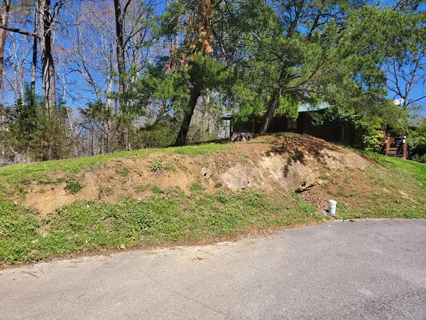 Sevierville, TN 37876,LOT 66 Walini WAY