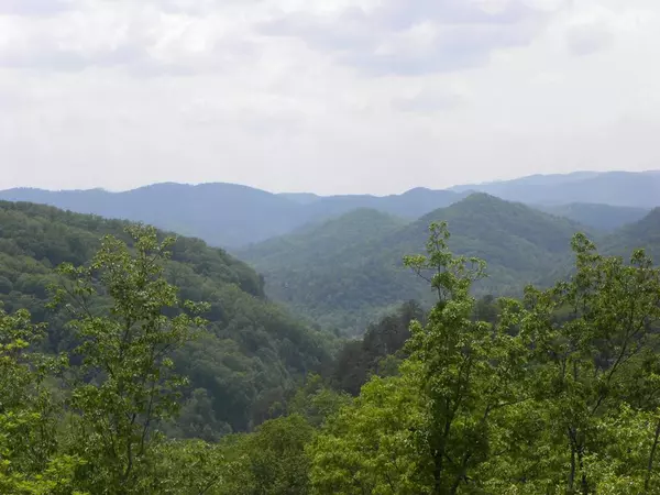 Sevierville, TN 37862,Lot 55W & 56W Long Rifle RD