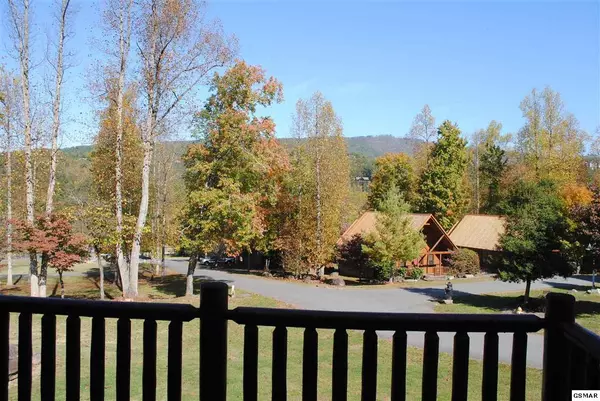 Gatlinburg, TN 37738,206 Forrest Loop WAY