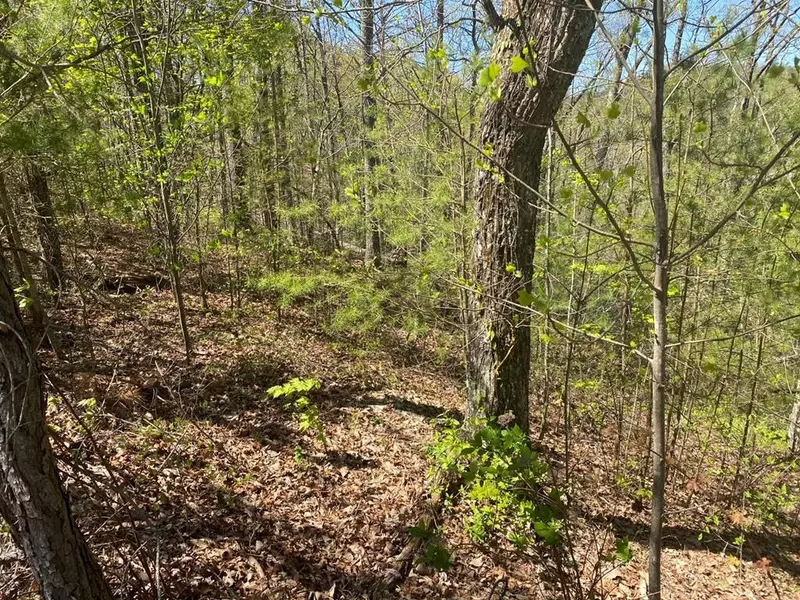 lot 13 Mountain Dreams WAY, Sevierville, TN 37876