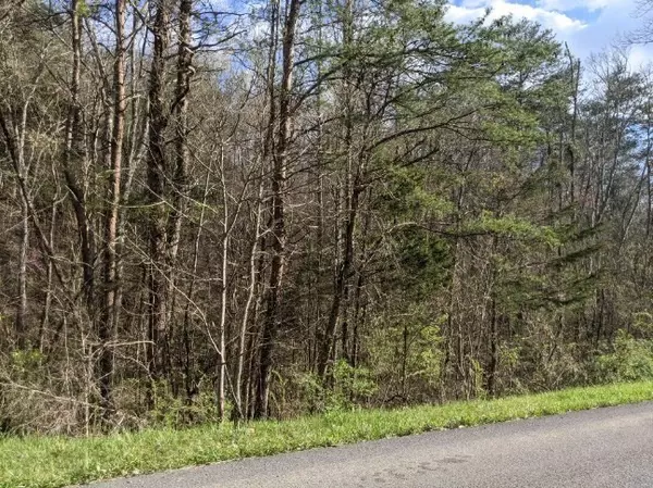 Sevierville, TN 37876,Lot 335 Windfall EST