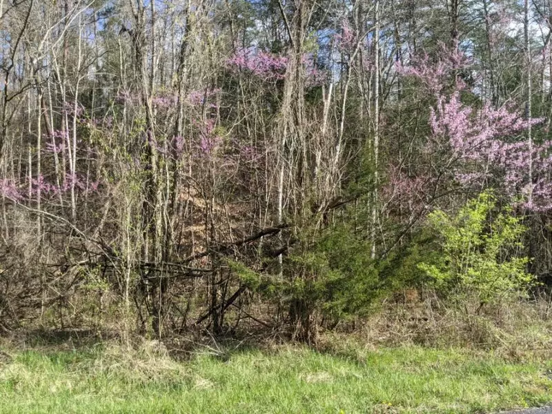 Lot 335 Windfall EST, Sevierville, TN 37876