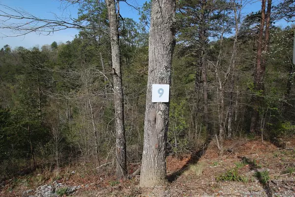 Lot 9 Summit Trails DR, Walden Creek, TN 47862