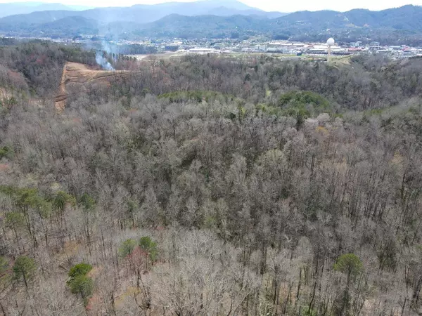 2036 Ridge RD, Pigeon Forge, TN 37865