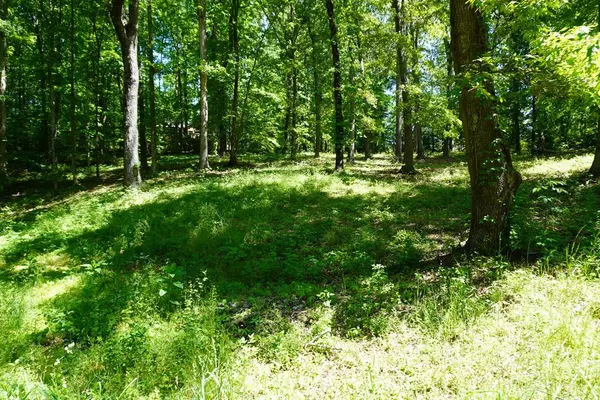 Lot 70 Ashwood DR, Jefferson City, TN 37760