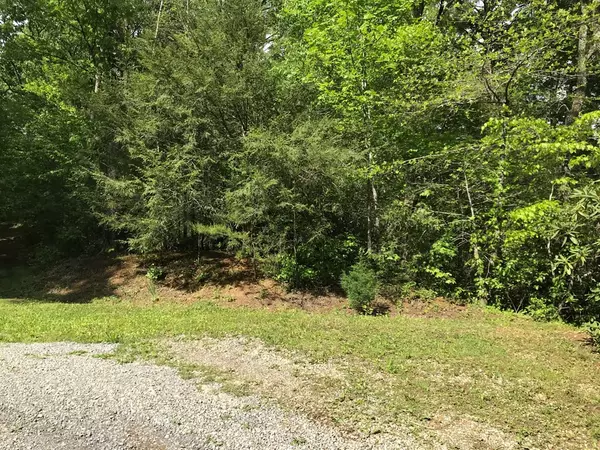 Cosby, TN 37821,Blackberry Mountain WAY