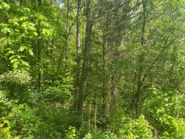 Lot Tr-1 Sugar Loaf RD, Sevierville, TN 37876