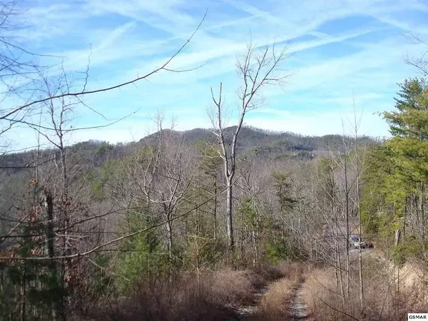 Lot 17R LIttle Round Top LN, Townsend, TN 37882