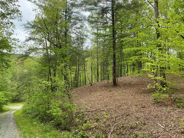 Sevierville, TN 37862,Lot 27 Ginas WAY