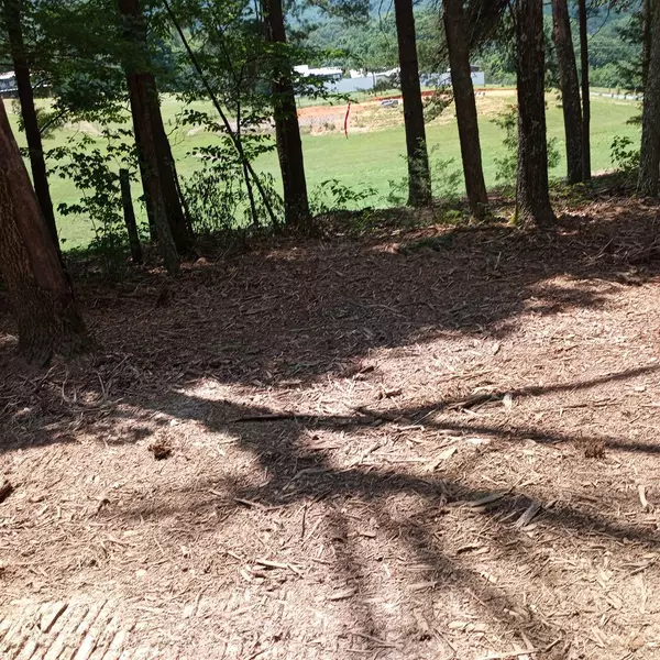 Sevierville, TN 37876,Lot 23,24,25 Burning Oaks DR