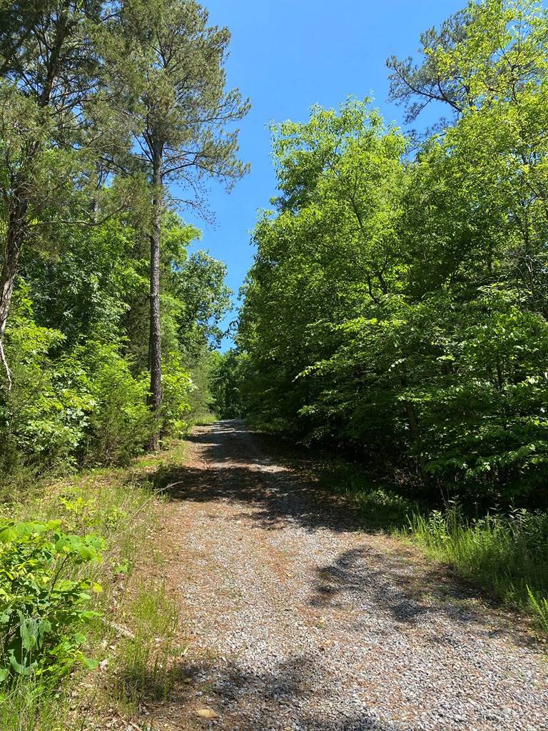 Dandridge, TN 37725,Spotted Fawn LN