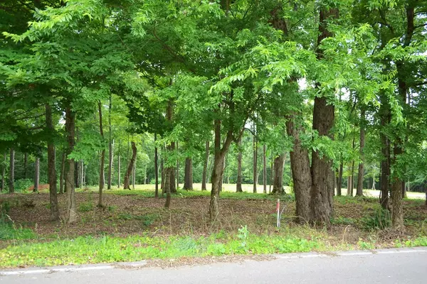 Seymour, TN 37865,Lot 17 Parton CIR