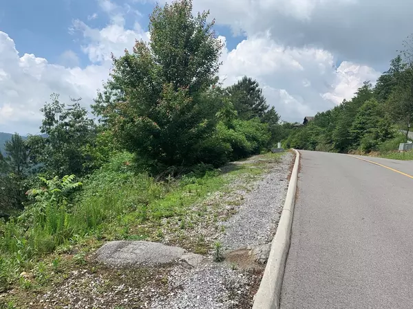 Sevierville, TN 37862,Lot 104E Settlers View LN