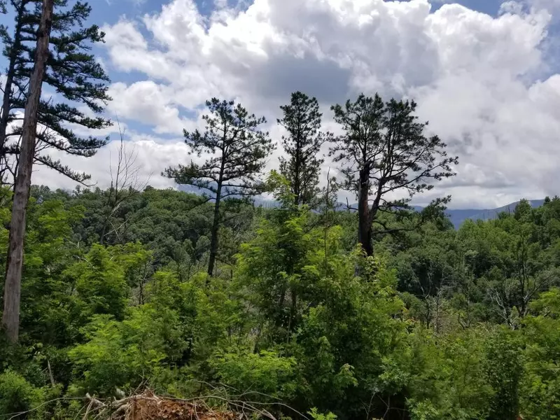 Lot 203 Dixie CT, Gatlinburg, TN 37738