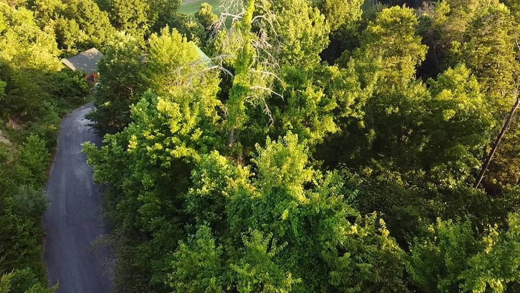 Pigeon Forge, TN 37725,Lot 428 Silver Stone WAY