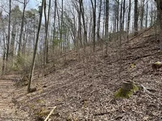 Sevierville, TN 37876,Lot 17 Shamrock WAY