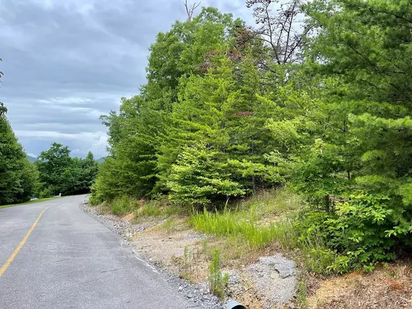 Sevierville, TN 37862,Lot 47E Harvest Moon RD