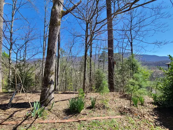 Gatlinburg, TN 37738,Lot 35 Saint Andrews WAY