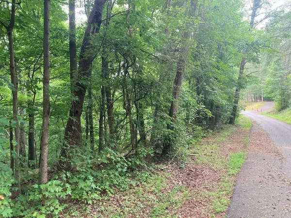 Sevierville, TN 37876,Lot 0238 Ridgecrest DR