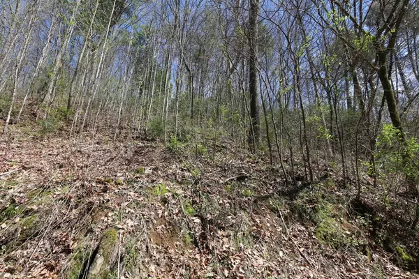 Sevierville, TN 37862,LOT 6 CABIN CREEK WAY