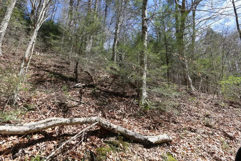 Sevierville, TN 37862,LOT 7 CABIN CREEK WAY