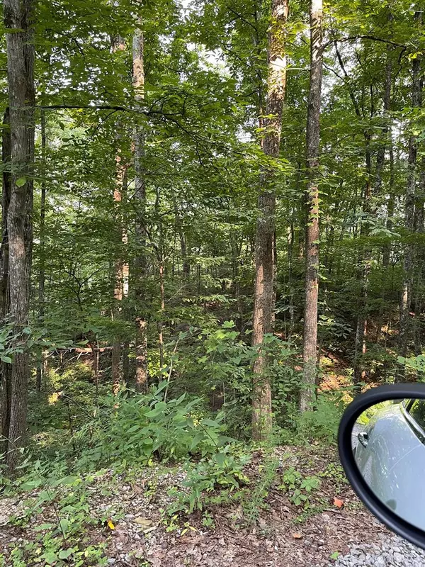 Gatlinburg, TN 37738,Lot #27 Sugar View RD