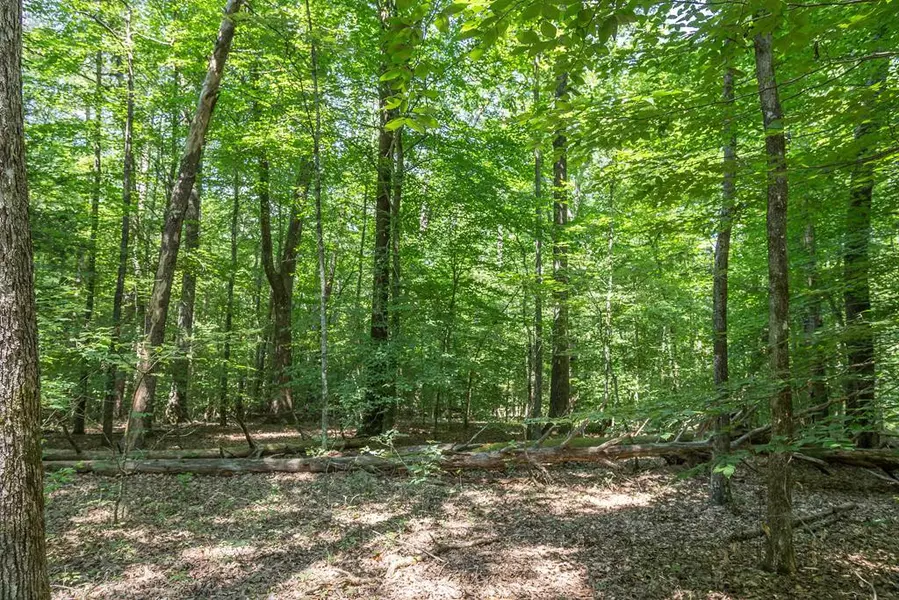 Lot 3B Ownby RD, Sevierville, TN 37862