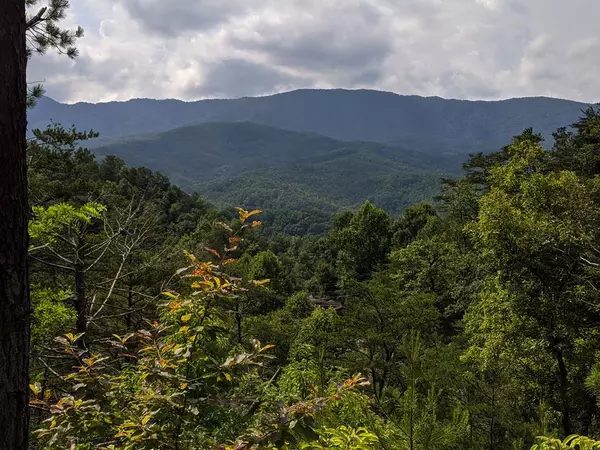 Gatlinburg, TN 37738,Lot 314R Duck Hollow RD