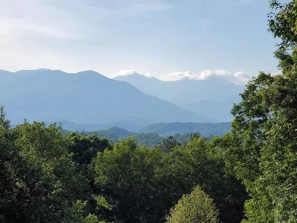 Gatlinburg, TN 37738,1101 Oak CT