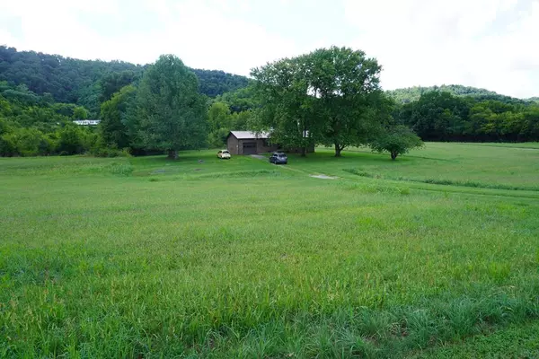 950 Hinchey Hollow RD, New Market, TN 37820